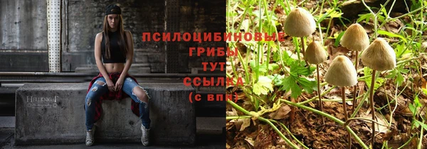 2c-b Абинск