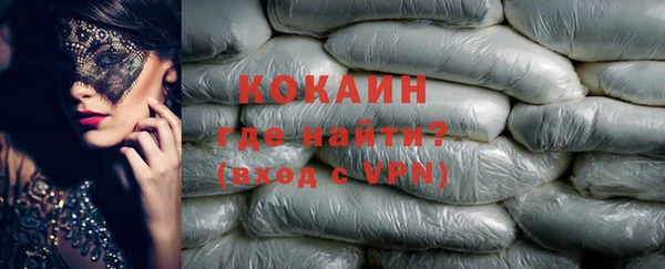 соль ск Абаза