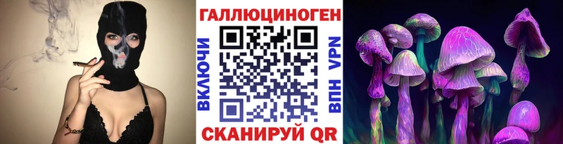 купить наркоту  Темников  Псилоцибиновые грибы прущие грибы 